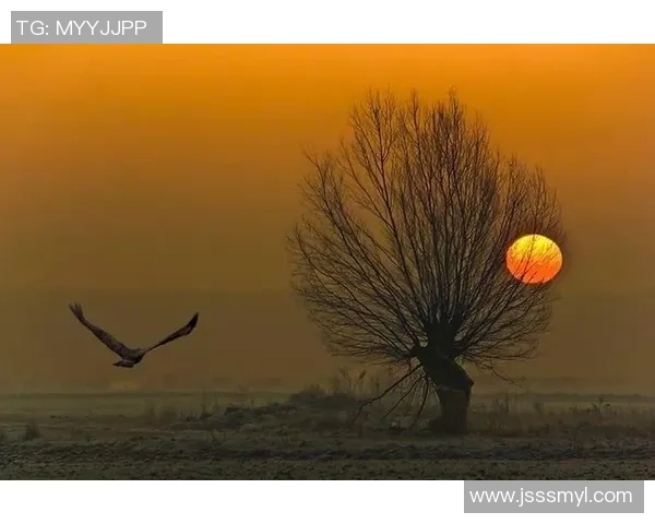 吕俊虎的奋斗故事与人生哲学启示我们如何追求梦想与成功