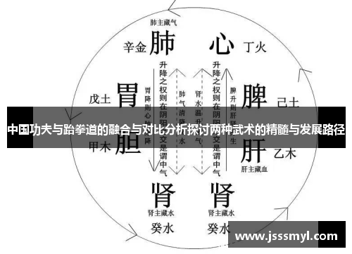 中国功夫与跆拳道的融合与对比分析探讨两种武术的精髓与发展路径