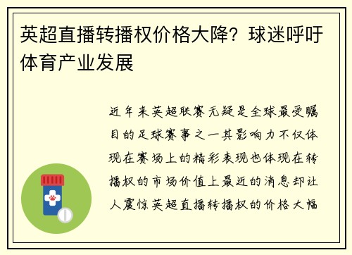 英超直播转播权价格大降？球迷呼吁体育产业发展